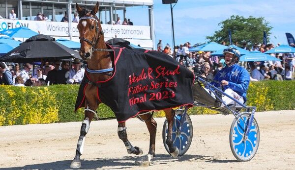 Stakes boosts & feature racing updates announced!