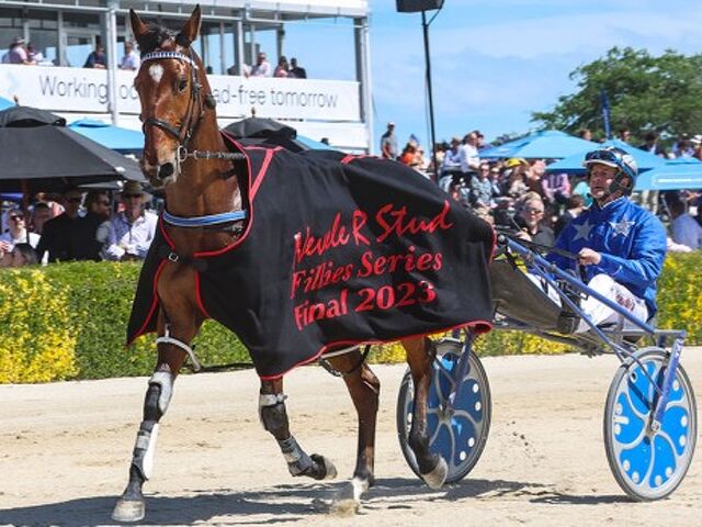 Stakes boosts & feature racing updates announced!