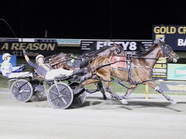Unwanted gelding wins Bathurst Gold Chalice