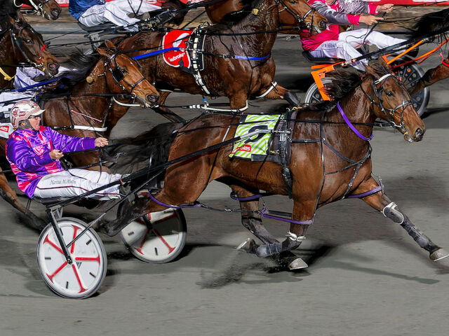 Dam of Albion Park winner dodged death
