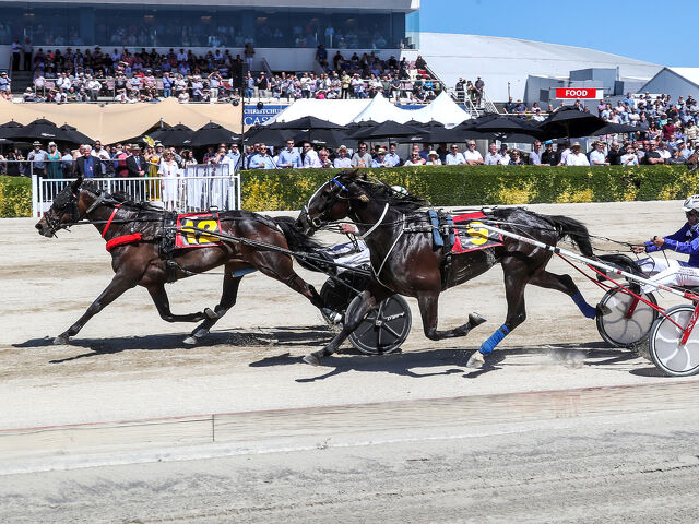 Missalyssa rewards 25 years of toil for breeder