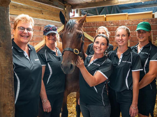 Southerners Shine Again at Sales