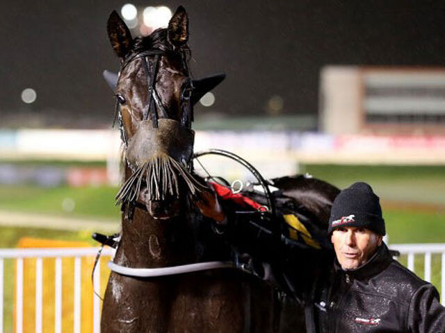 Patience rewarded with giant trotter
