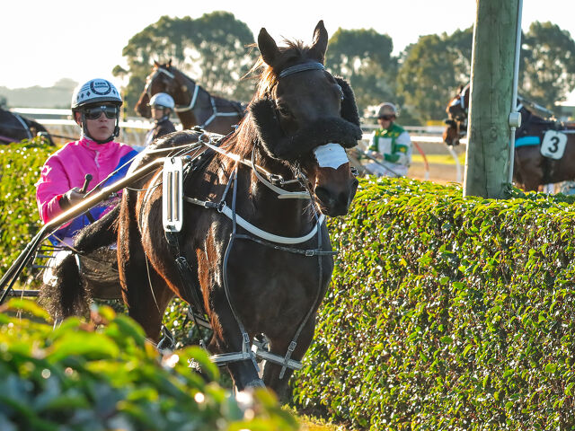 American Eyretime heads mare’s improving record 