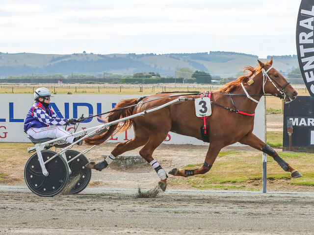 Cheval Rouge adds to versatile mare’s record 