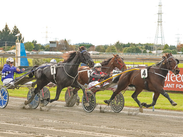 Only One Way forward for Trotter