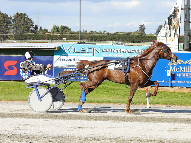 Grice breed helps Griffins Syndicate to a century of wins 