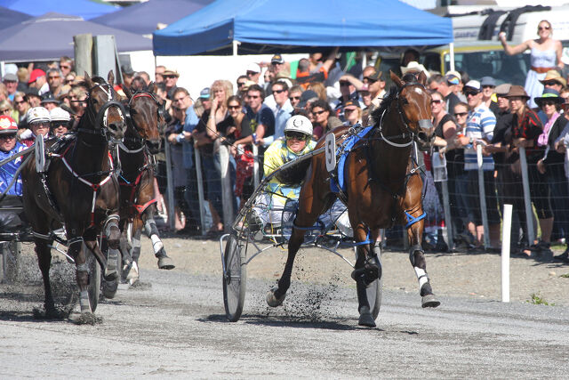 Where Are They Now: Nearea Franco – The Last Mare to Conquer Kaikoura