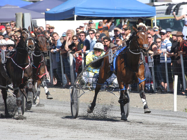 Where Are They Now: Nearea Franco – The Last Mare to Conquer Kaikoura