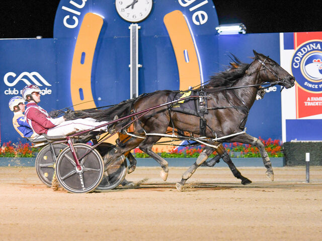 Nerano is the best horse ever bred by Rob Stuart