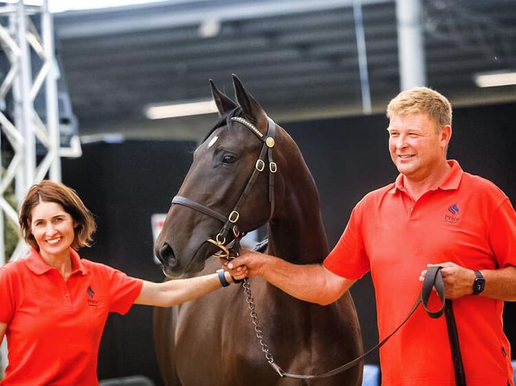 Two handlers smile while presenting a dark horse at an indoor event, both wearing matching red shirts