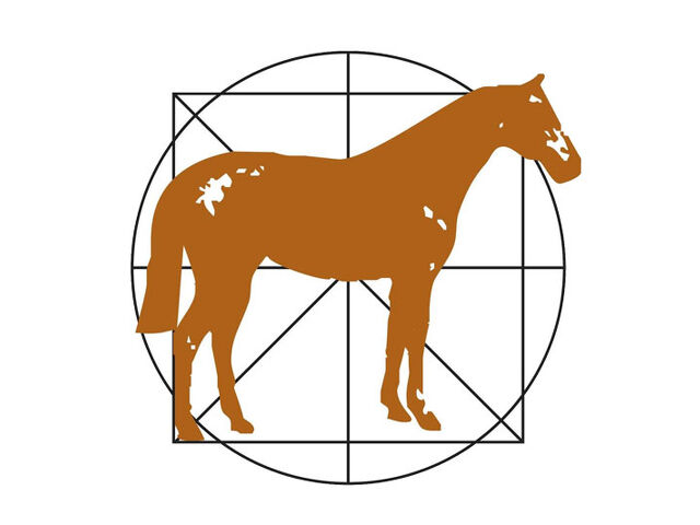 NZERF Spring Equine Bulletin
