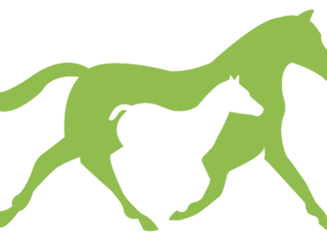HRNZ Standardbred Awards Recap