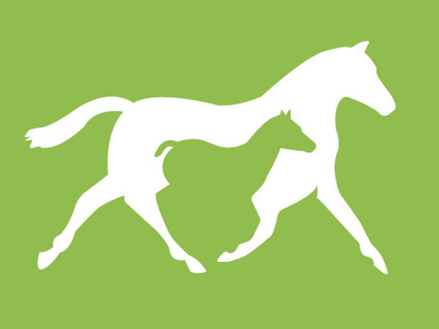 NZSBA Financial Statements