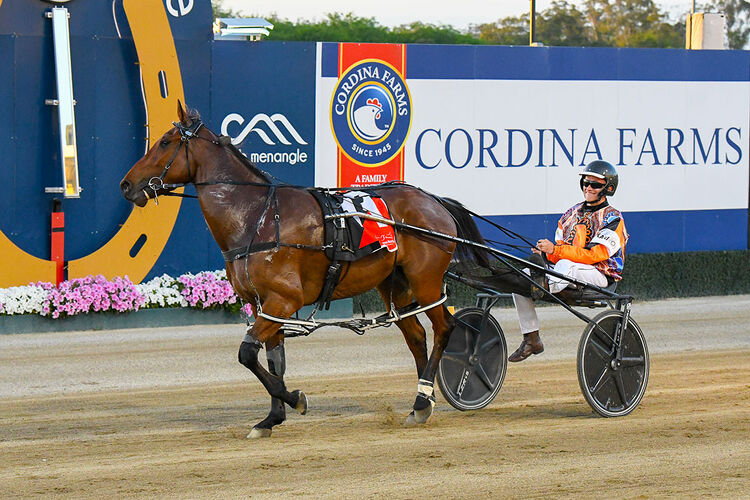 Obadiah Dragon returns to scale after winning at Menangle – Club Menangle photo