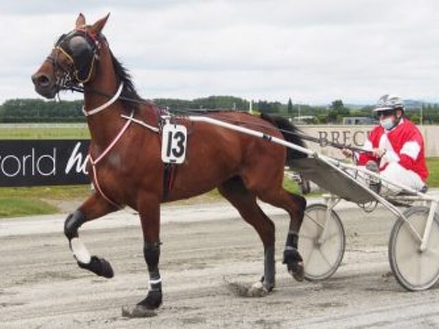 Kenny breed keeps producing for Timaru owner