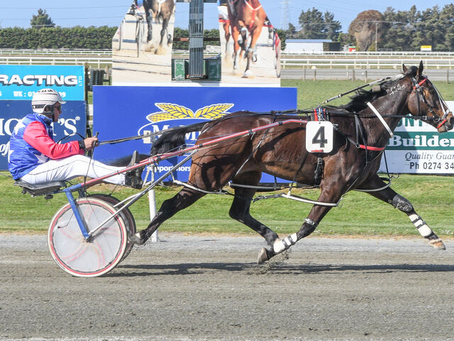 Bluff breeder is Onesmartfella
