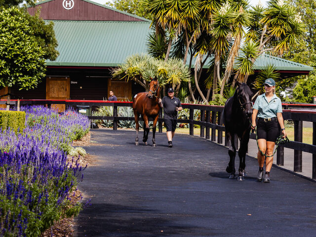 High-Priced Yearling Thresholds Confirmed for Standardbreds — What Breeders Need to Know
