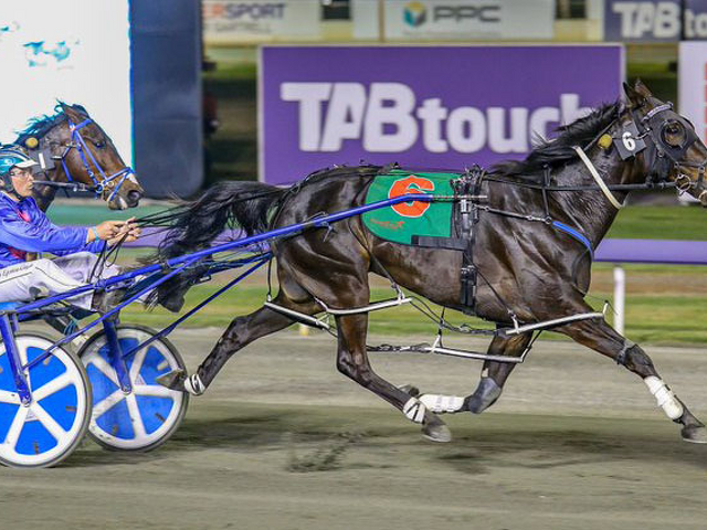 WA Derby win for hobby breeders