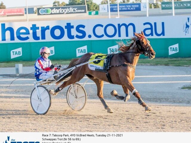 Group win for ‘Lucky’ breeders