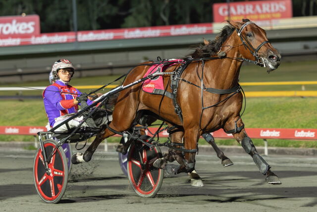Free service leads to new Albion Park star