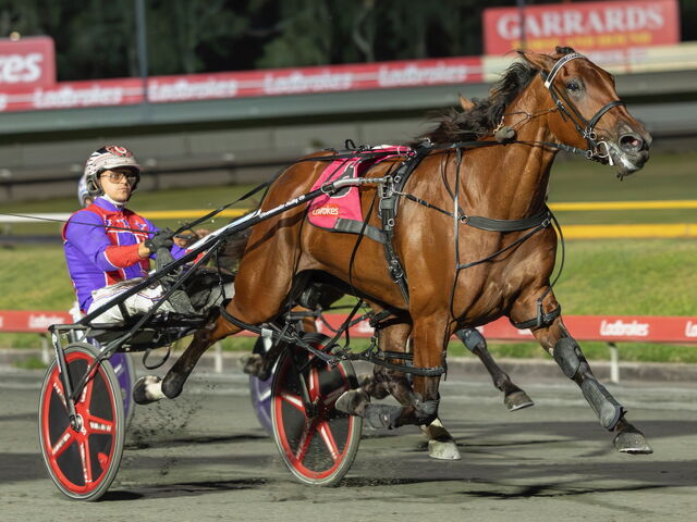 Free service leads to new Albion Park star