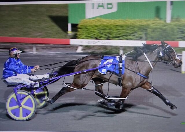 Lady Di Carries Whitelock Legacy into Group One Spotlight