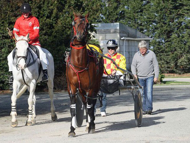 NZ bred to star in hyped US match race