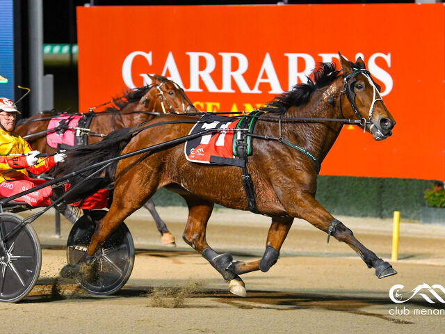 Queen Elida rules for tyro breeder