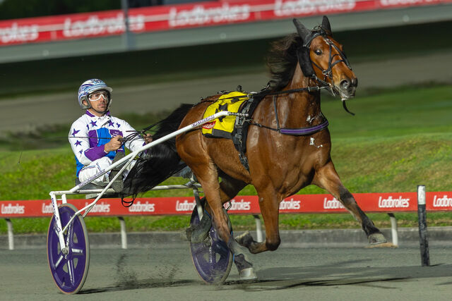 Redcliffe feature winner from veteran mare