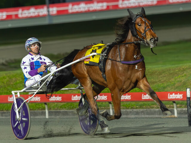 Redcliffe feature winner from veteran mare