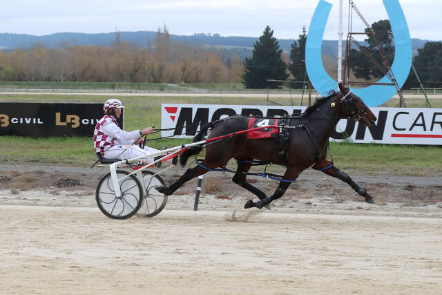 ‘Sentimental’ Winner for Top Southland Breeder