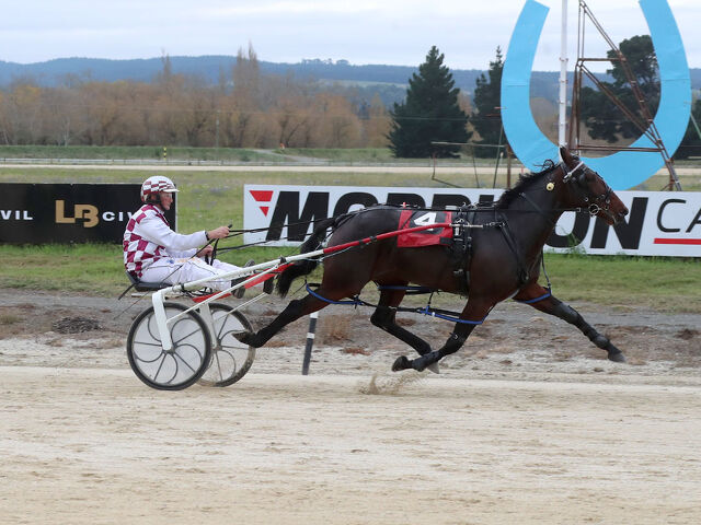 ‘Sentimental’ Winner for Top Southland Breeder