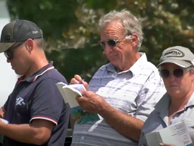 First impressions key to selecting horses at yearling sales