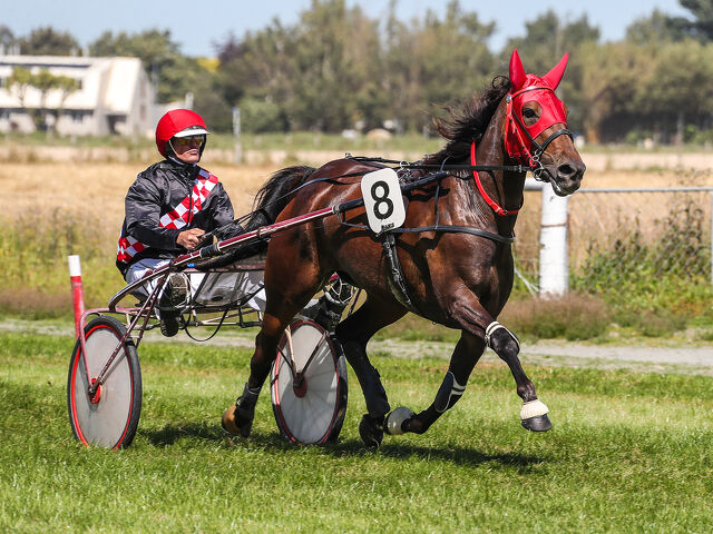 More winners and more mares for Butt