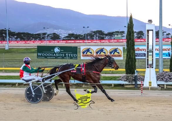 Oaks winner descends from one-eyed mare