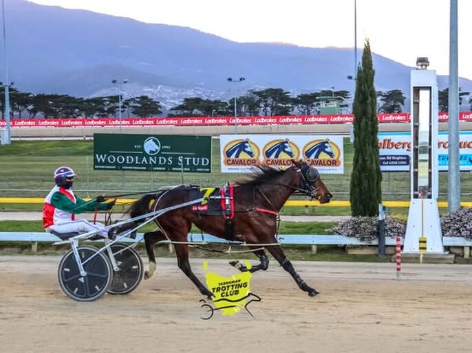 Oaks winner descends from one-eyed mare