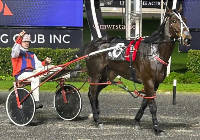 Tytate on her way to becoming a very valuable mare
