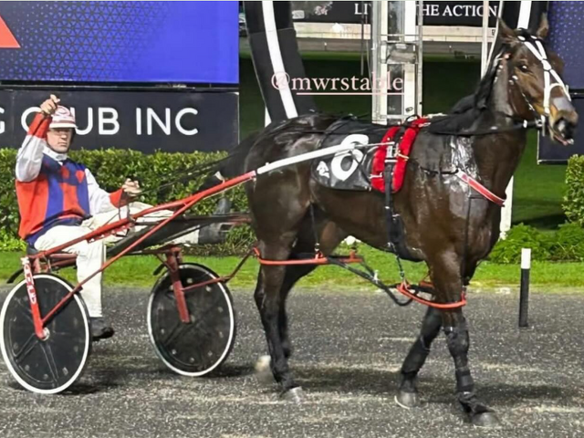 Tytate on her way to becoming a very valuable mare