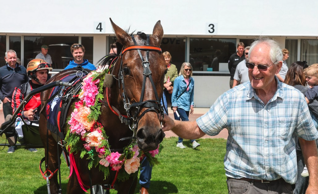 Woodlea Rocks and Harness 5000 rescues Twidle’s breeding dreams