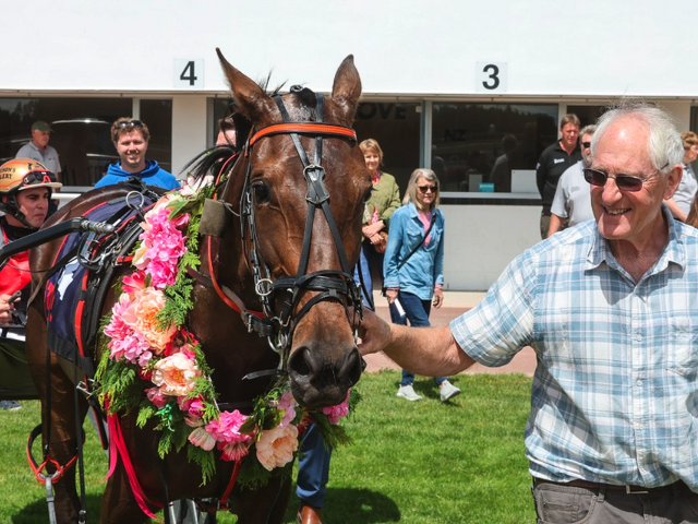 Woodlea Rocks and Harness 5000 rescues Twidle’s breeding dreams