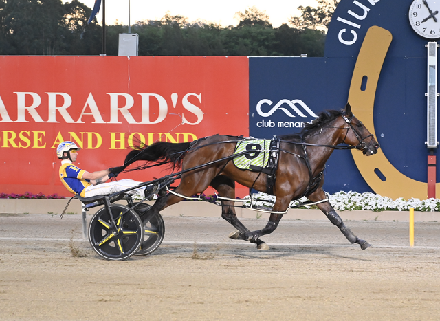 Awesome Broodmare Leads to 1:48 Menangle Star