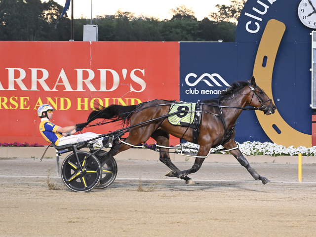 Awesome Broodmare Leads to 1:48 Menangle Star