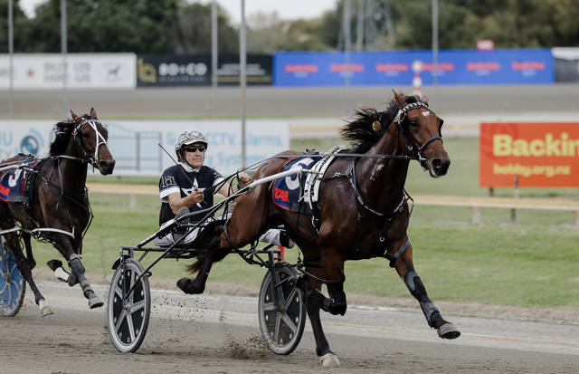 Breeding Snippets: Winners, Families and New Investment