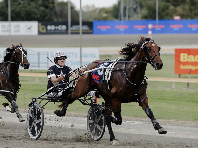 Breeding Snippets: Winners, Families and New Investment