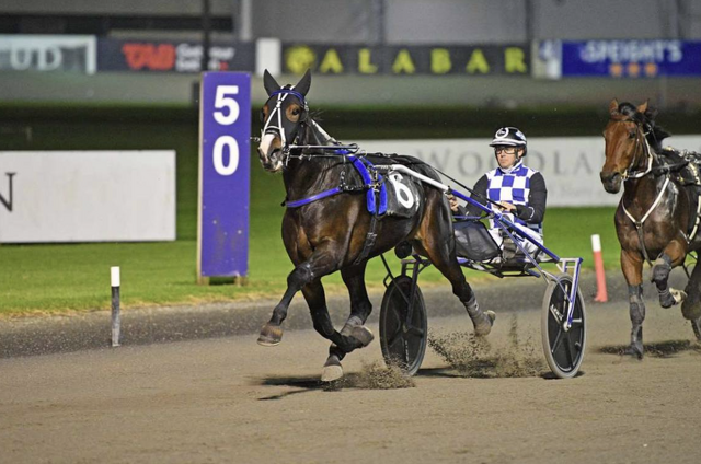 Breeding Snippets: Proven Families Continue to Deliver