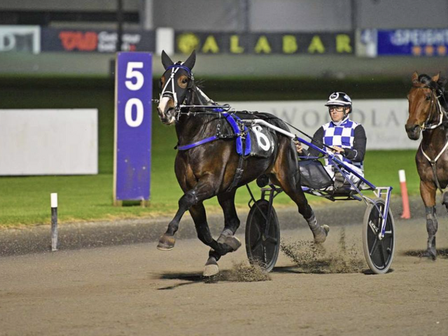 Breeding Snippets: Proven Families Continue to Deliver