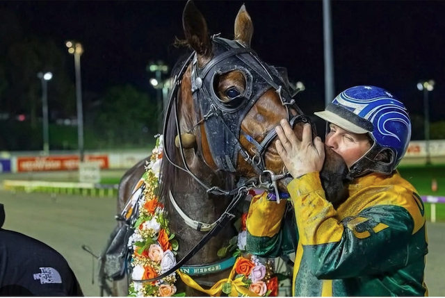 The mare who built a dynasty