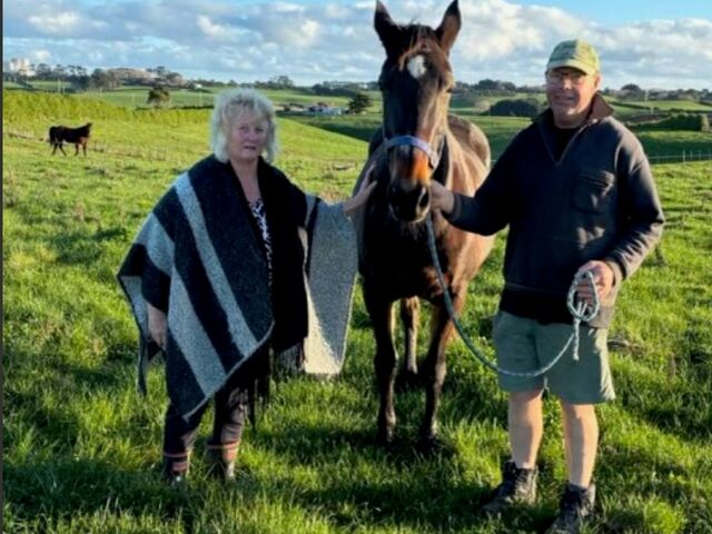 Dam of debutante Perth winner had brush with death 