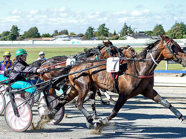 Broodmare Paddock Beckons for Winning Trotter